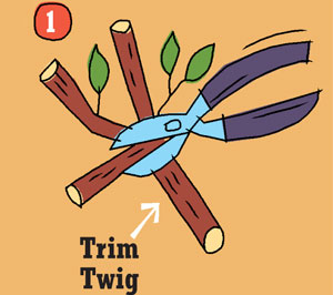 twig-1