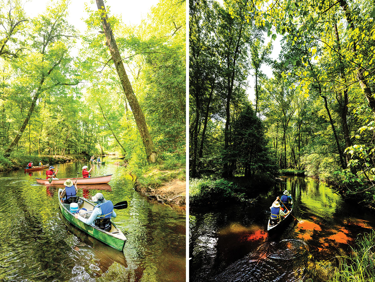 Remando em canoas no Parque Nacional Congaree, na Carolina do Sul