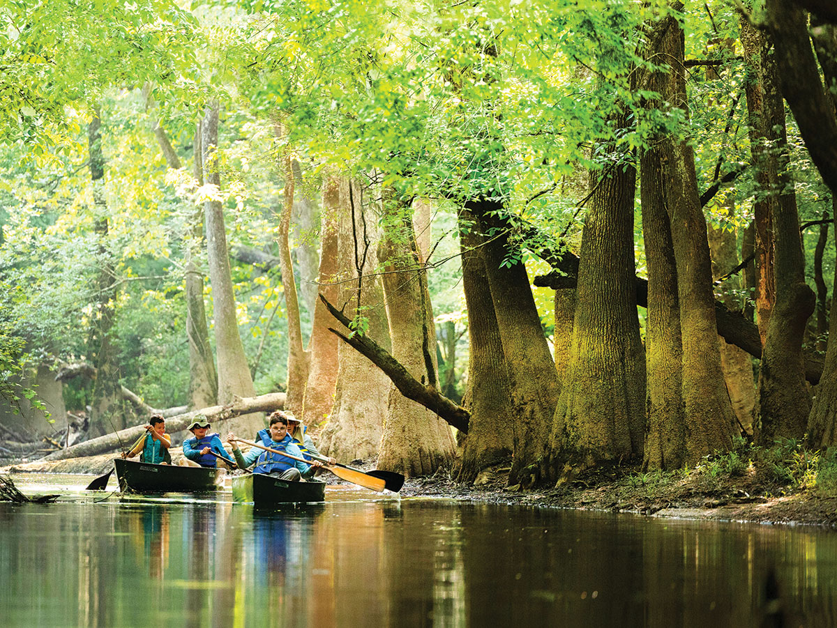 Águas claras e tranquilas para canoagem no parque nacional Congaree