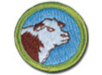 Merit Badge Requirements