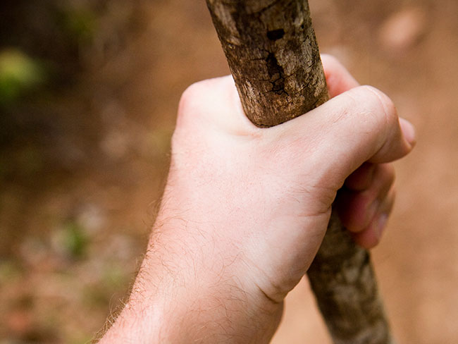 Unusual Walking Stick Comfortable Brass Handle, Inspired by Nature