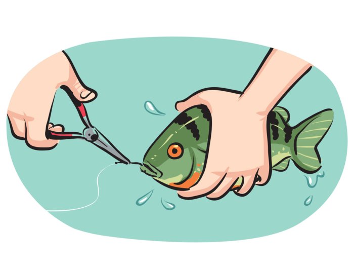 10 Steps to Start Fishing – Scout Life magazine