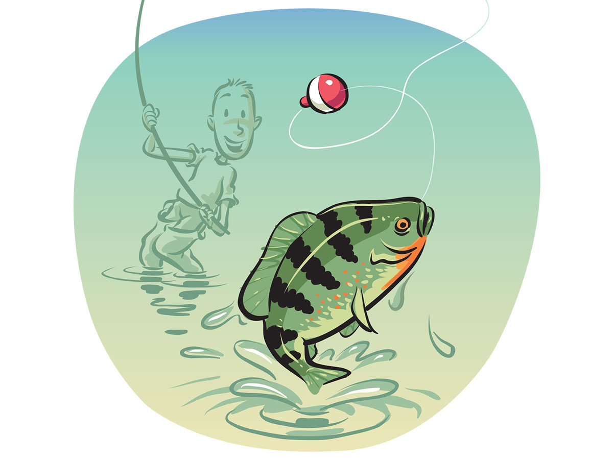 10 Steps to Start Fishing – Scout Life magazine