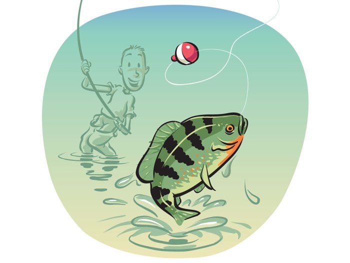 10 Steps to Start Fishing – Scout Life magazine