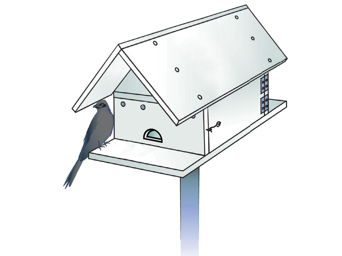 How to Build a Purple Martin House To Attract Bug-Eating Birds
