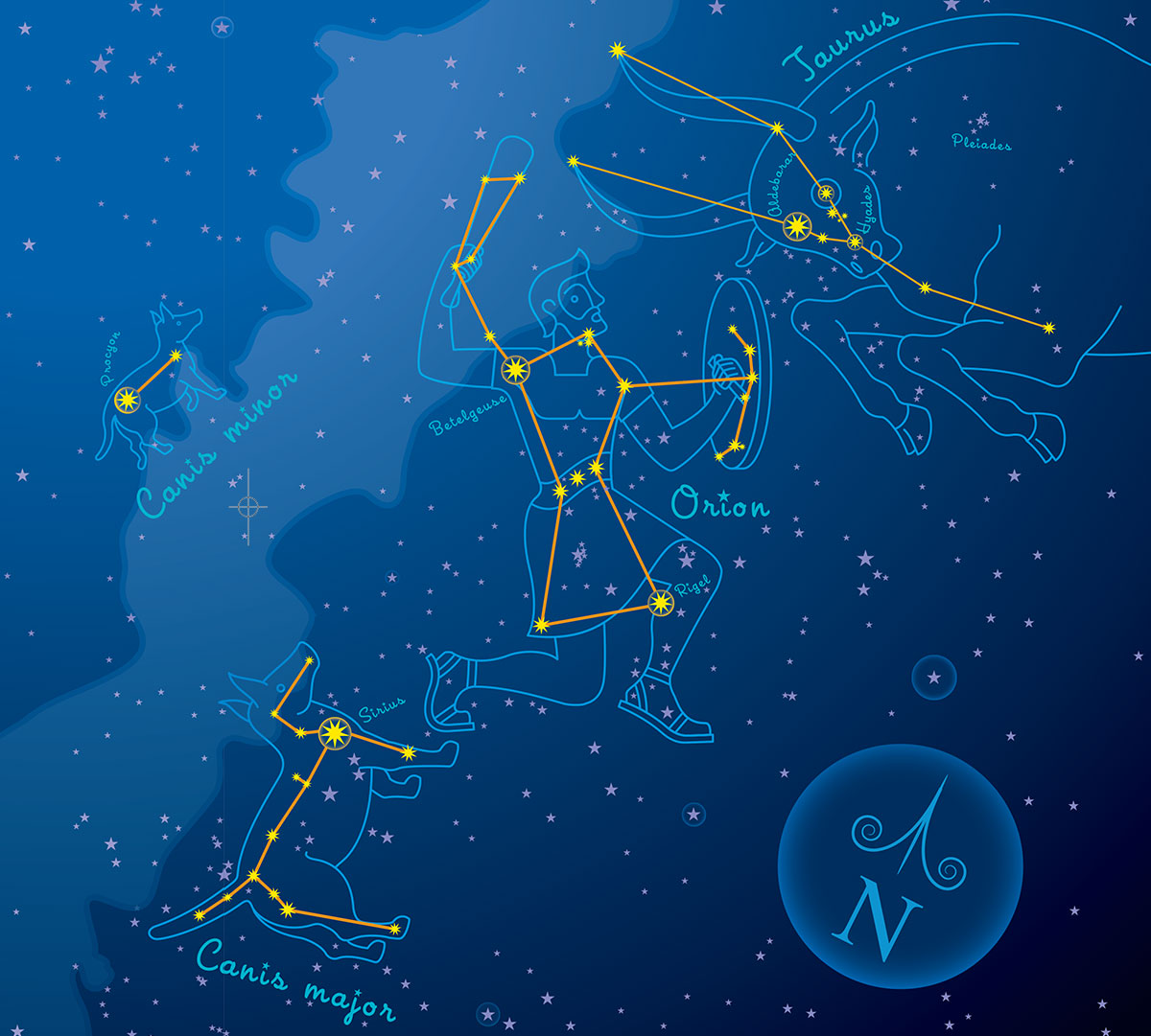 Constellations in 2024 the sky