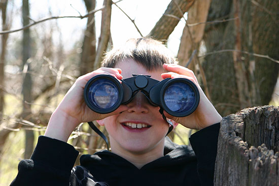 Cool binoculars store