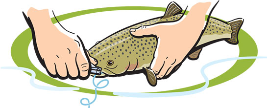 Catch and Release, Fishing Basics