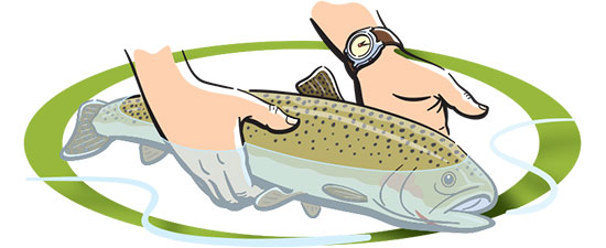 Catch and release fishing tips – Scout Life magazine