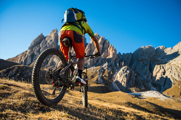 Mountain bike buying guide