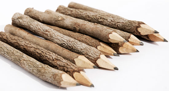 How to Make Twig Pencils