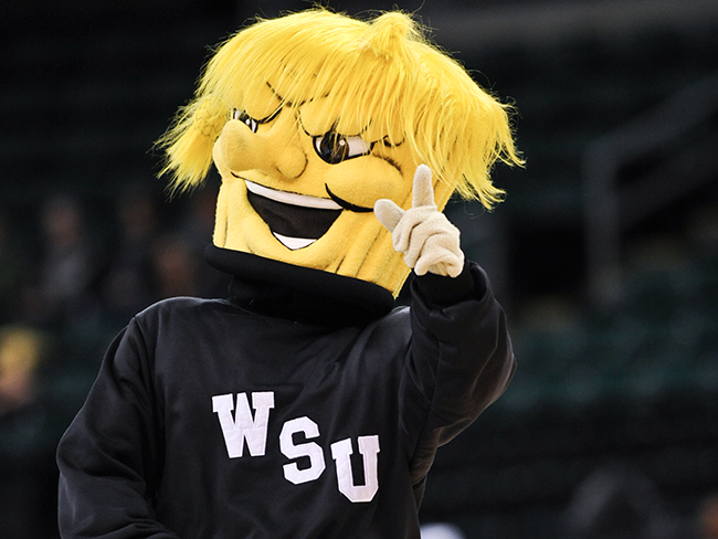 14 Funny, Crazy and Unusual College and Pro Sports Mascots – Scout Life ...