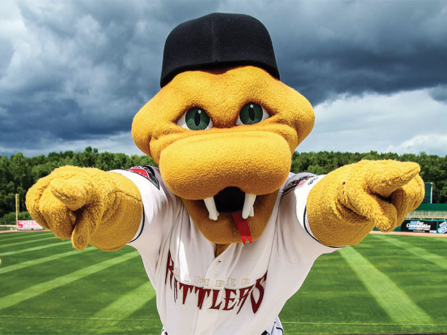14 Funny, Crazy and Unusual College and Pro Sports Mascots – Scout 