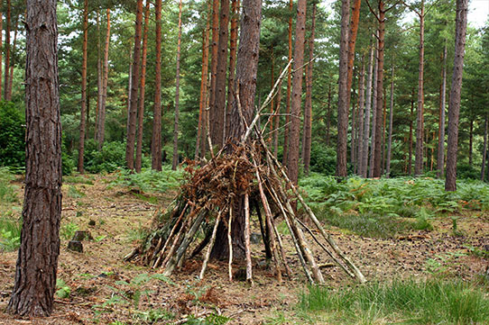 How to Build a Survival Shelter – Scout Life magazine