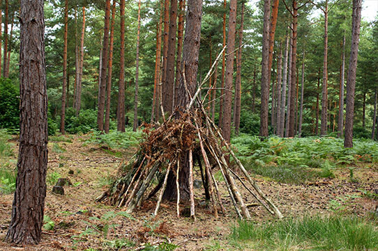 bushcraft shelter types