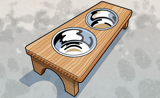 How to Build a Pet-Bowl Stand – Scout Life magazine