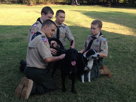 Harrah Scouts save dog