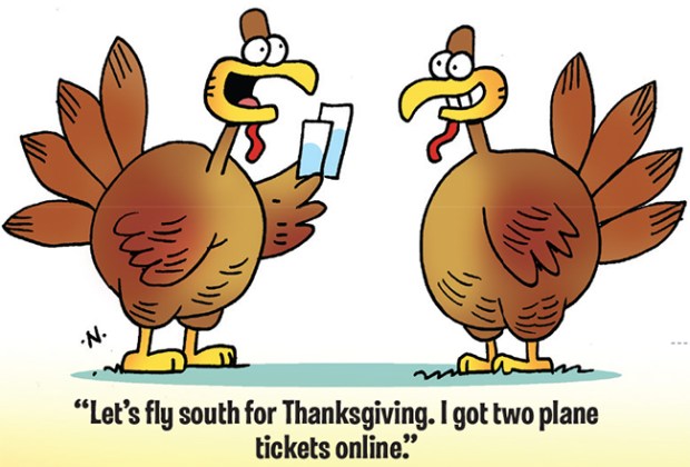 turkey-flight