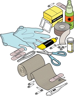 First-Aid Kit Buying Guide – Scout Life magazine