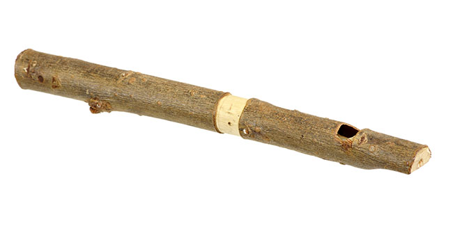 How to Carve a Willow Whistle