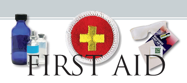 72-02 BSA FIRST AID Merit Badge Type H B00148 SILVER BORDER 