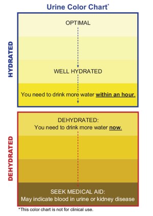 chart showing how urine color can indicate dehydration