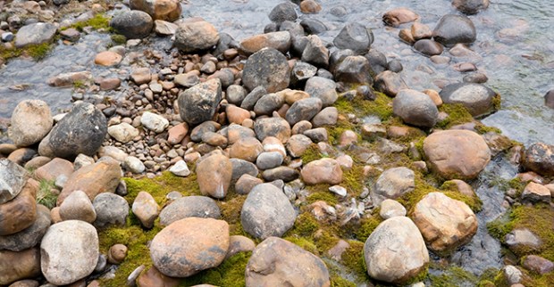 rocks strewn around a stream bed