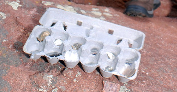 an egg carton being used to hold a rock collection