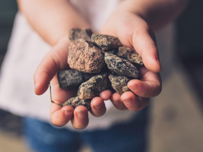 boy holds a rock collection in his hands