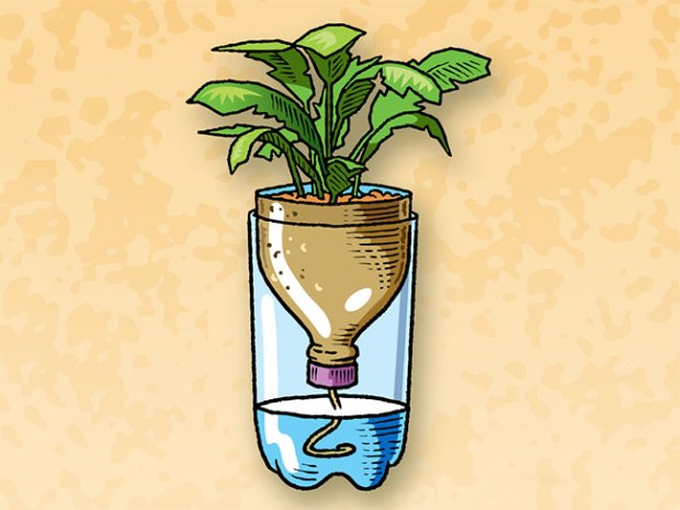 https://scoutlife.org/wp-content/uploads/2015/10/plastic-planter.jpg?w=620