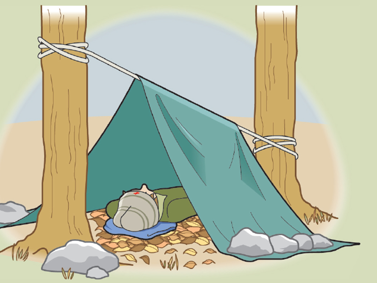 How to Build a Survival Shelter Scout Life magazine