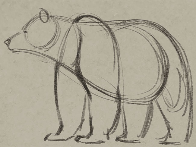 Cartoon Polar Bear Drawing  How To Draw A Cartoon Polar Bear Step By Step
