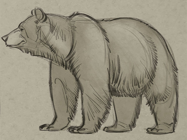 How to Draw a Polar Bear  LoveToKnow