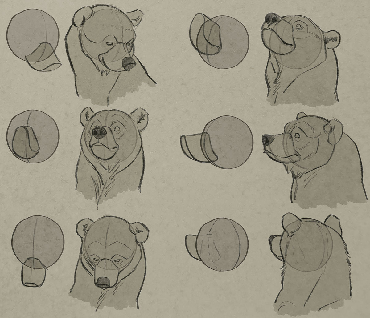 Bear, polar bear, cartoon, drawing, sweet