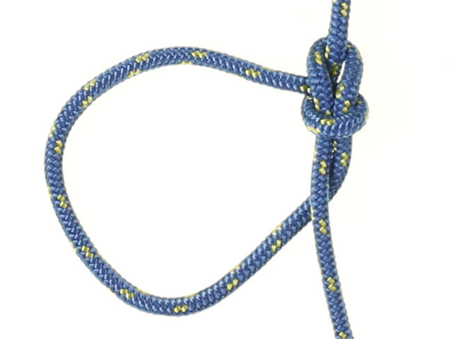 How to Tie a Bowline Knot in 4 Easy Steps – Scout Life magazine