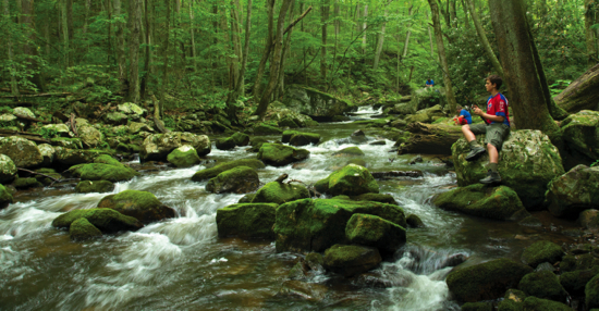 Scouting Fly-fishing Merit Badge Camp, NCWRC Fishing Education Team,  Fayetteville, 16 March to 17 March