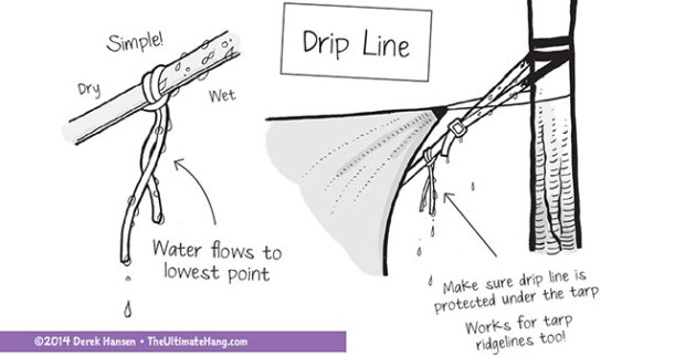 dripline