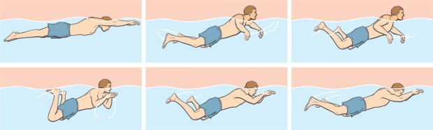 stroke swimming diagram