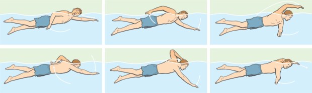 stroke swimming diagram