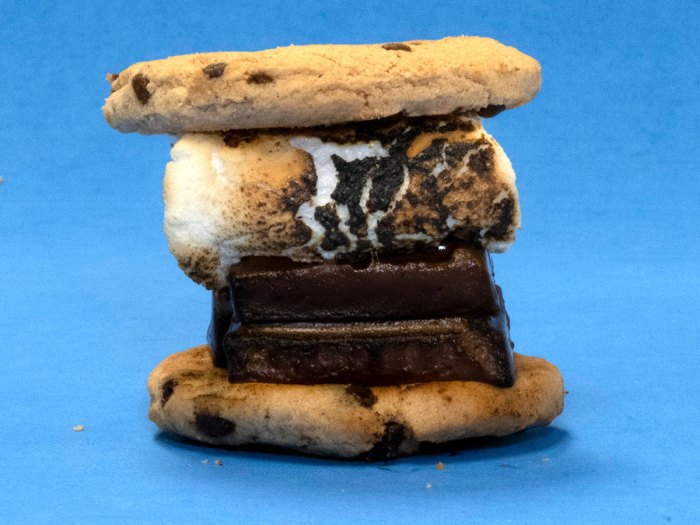 Chocolate Chip Cook Smore