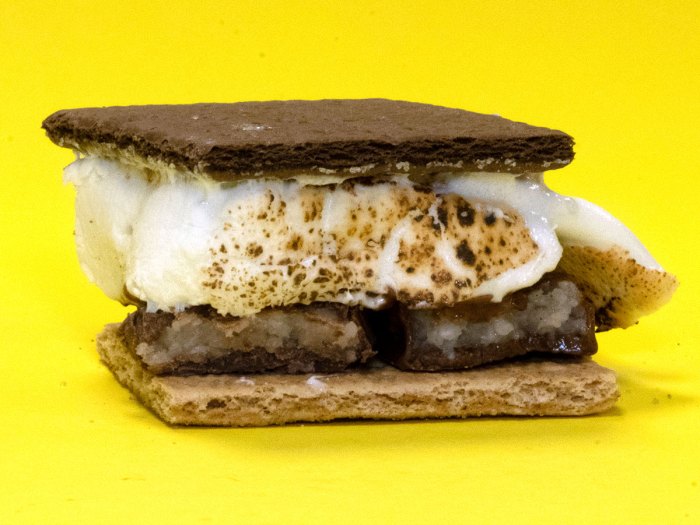 Coconut Smore