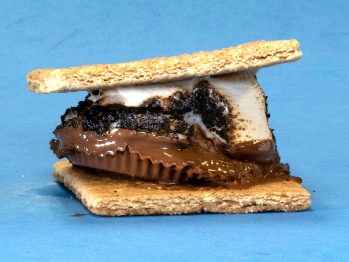 Peanut Butter Smore