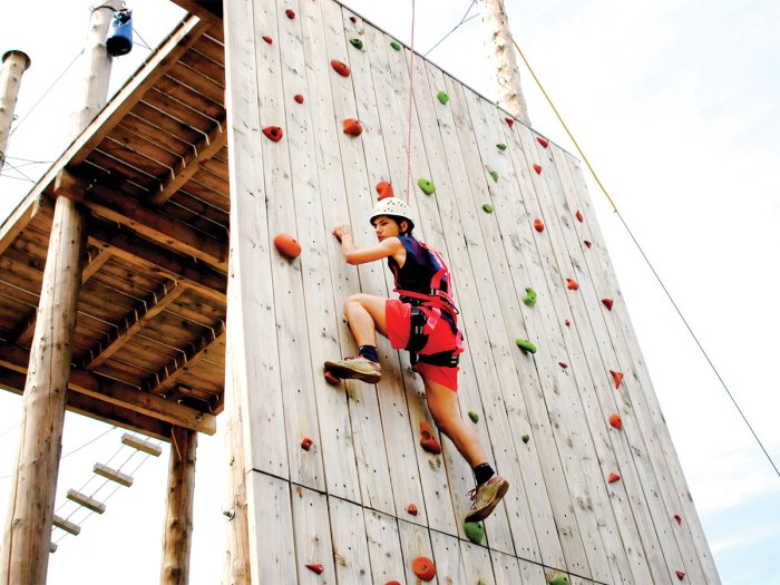 Types of Gym Climbing: Top Rope - inSPIRE Rock Indoor Climbing & Team  Building Center