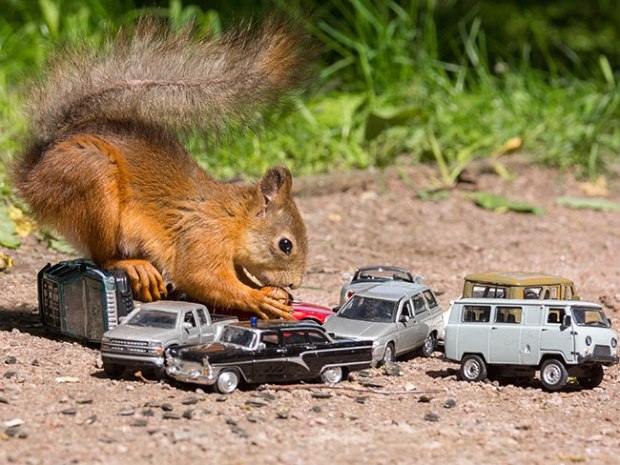 Write a Funny Caption for This Photo – Scout Life magazine Write a Funny Caption for This Photo – Scout Life magazine
