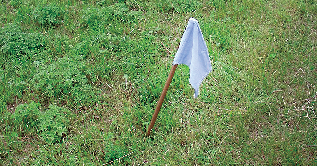 How to Play Capture the Flag – Scout Life magazine