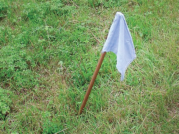 Wizard Fishing Flags - TAG