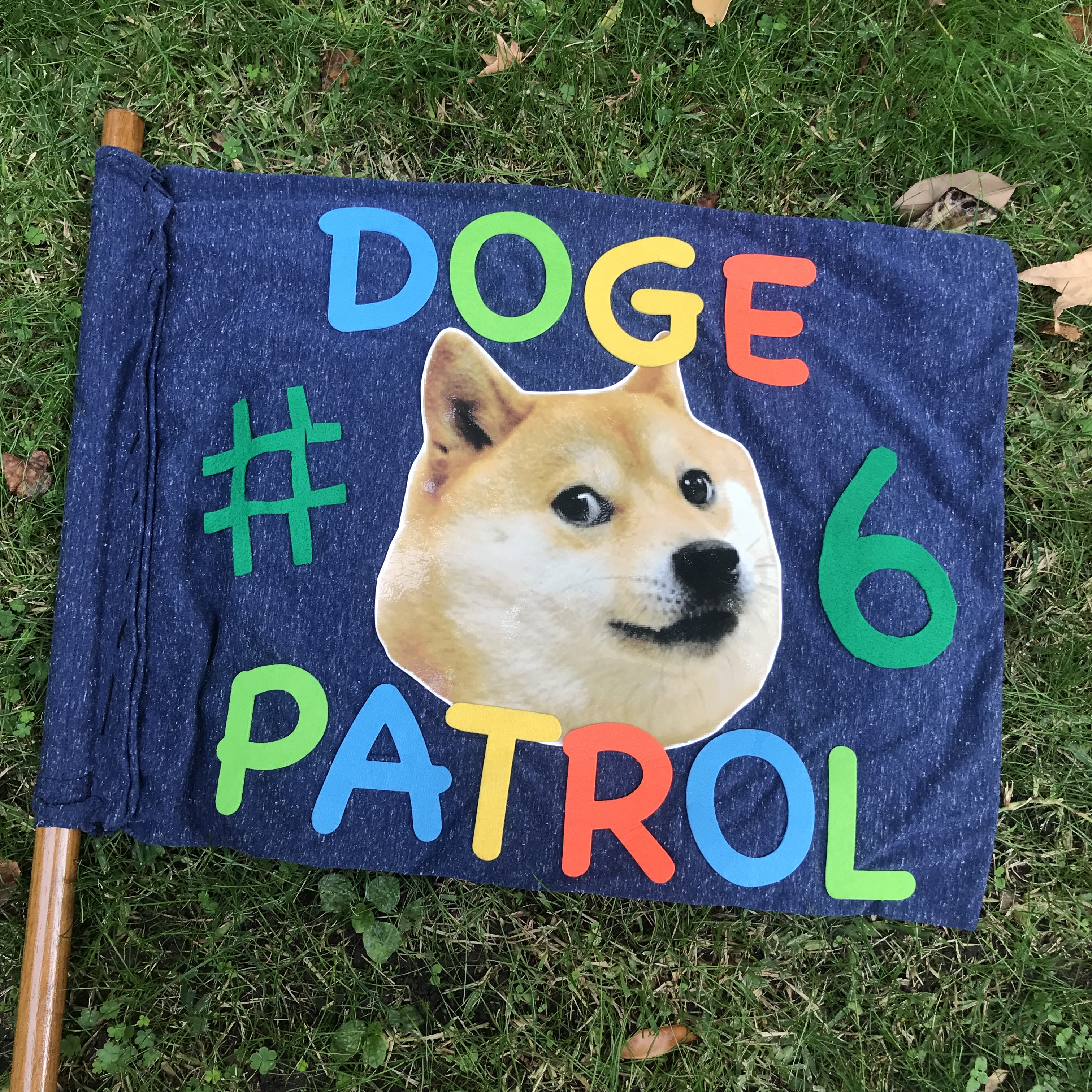 Troop 491 The Doge Patrol