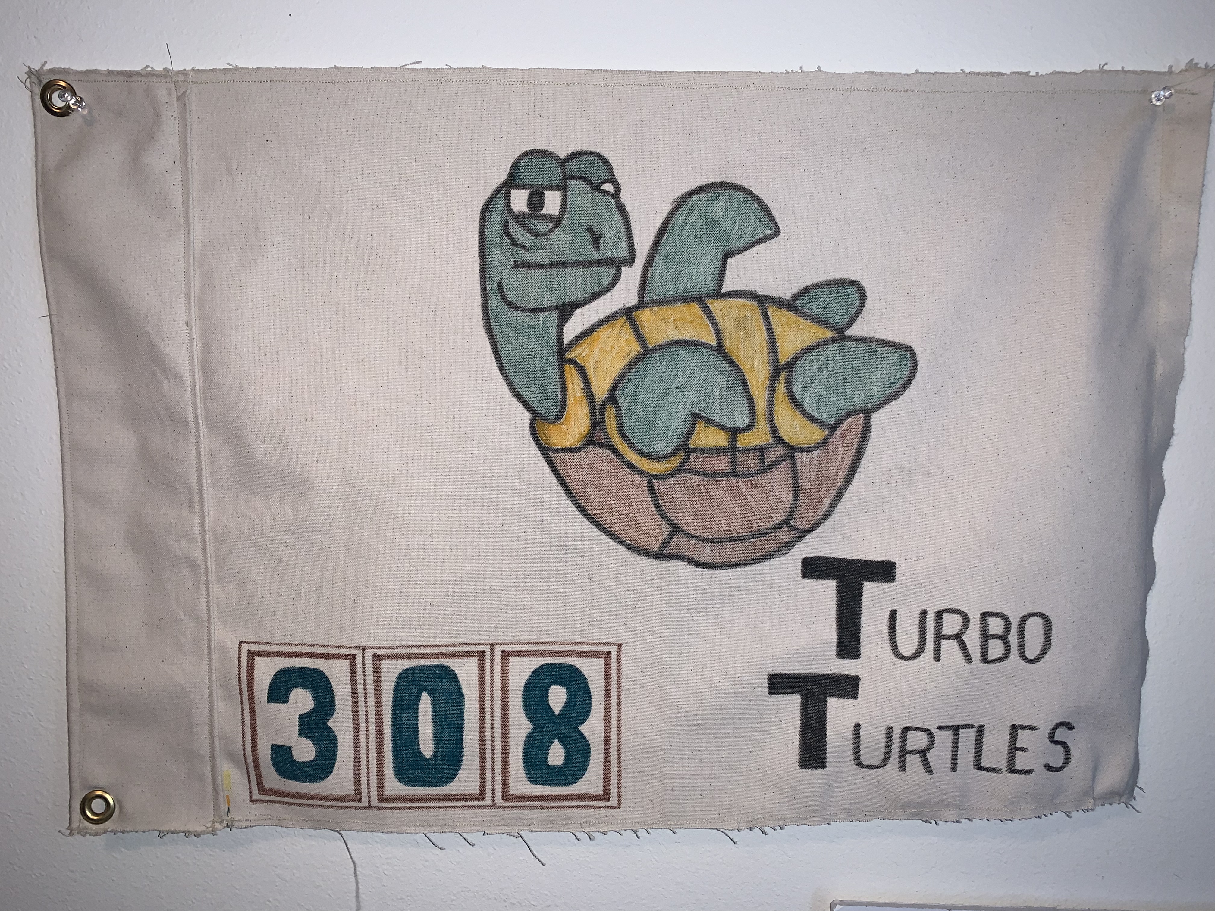 Turbo Turtles