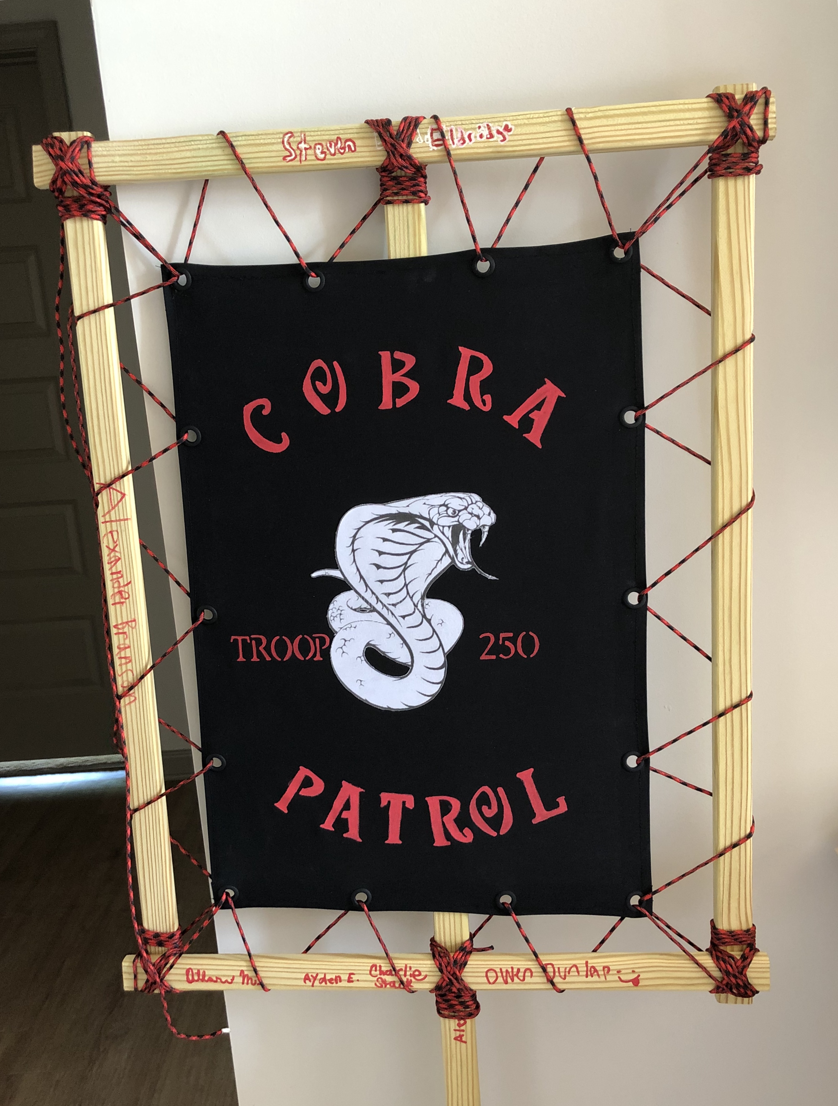 Troop 250 Cobra Patrol