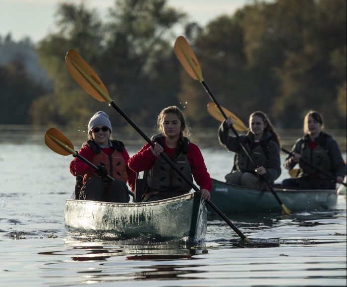 Swamp-base-paddling